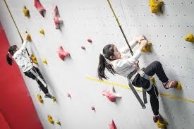 棒球与劳资博弈下的奢侈税平衡