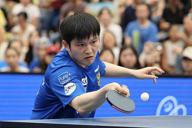 视野开阔 视野开阔